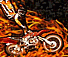 X Stunt Bike